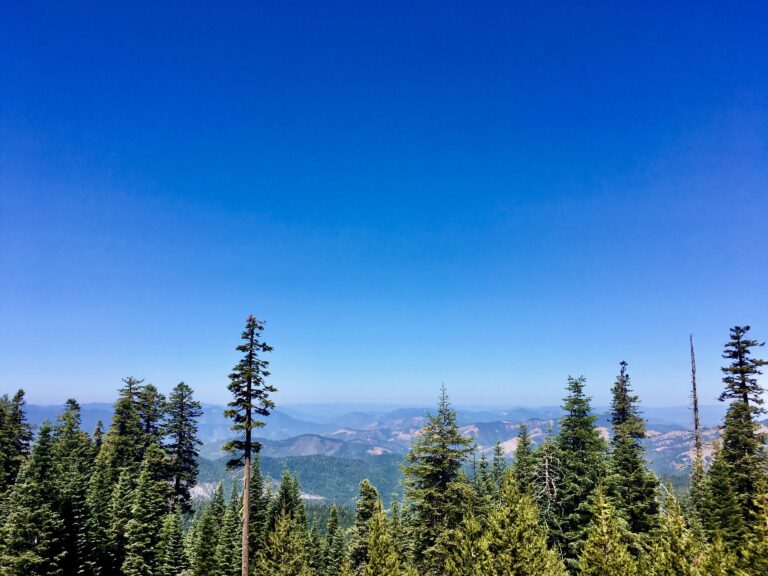 Blue Mountain Translator District Brings My Oregon News to Oregon’s Airwaves